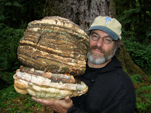 Paul Stamets with Giant Fungi