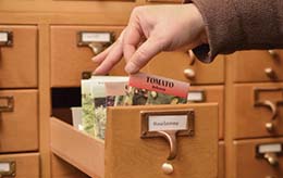 Library Card Catalog Drawer with Seed Packets